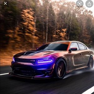 Meet your Posher, Paul